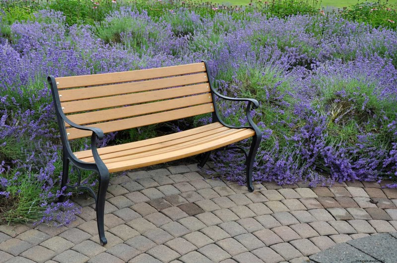 Geurige bodembedekkers:ongediertebestrijding en prachtige tuinoplossingen 