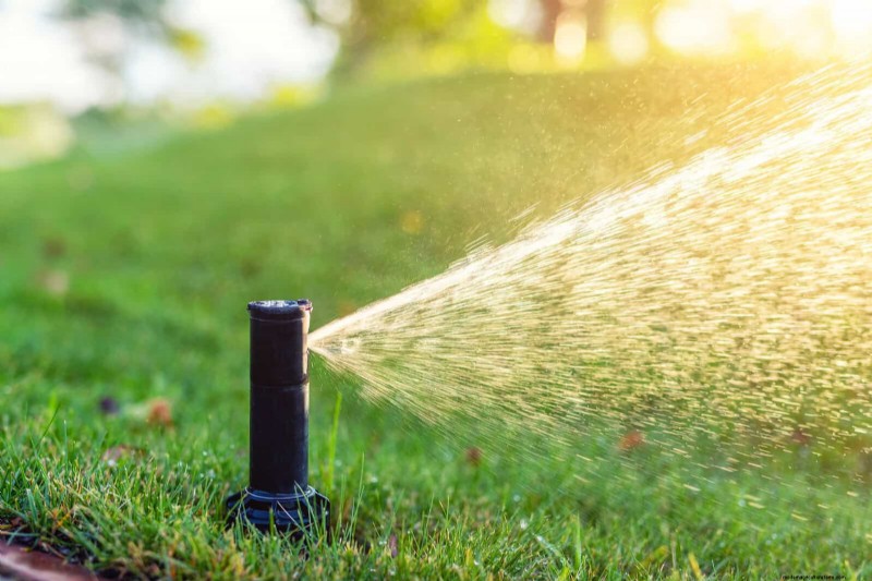 Rasensaat im Sommer:Ein Leitfaden zum Erfolg 