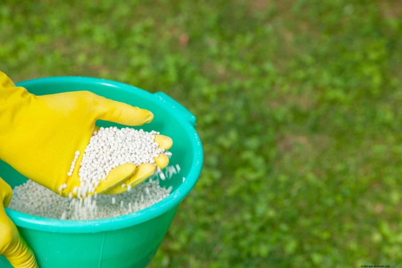 Rasensaat im Sommer:Ein Leitfaden zum Erfolg 