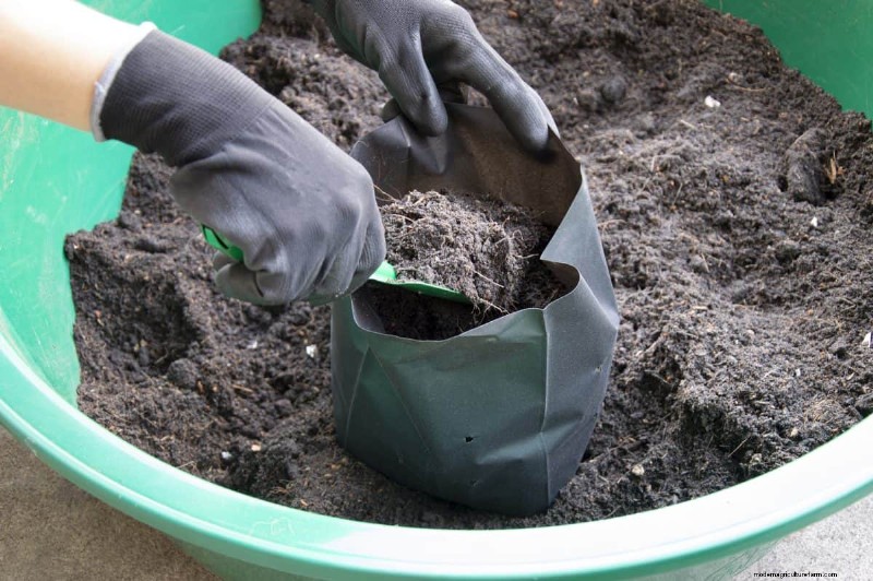 Menggunakan Kembali Tanah Pot Bekas:Ide Kreatif &Berkelanjutan 