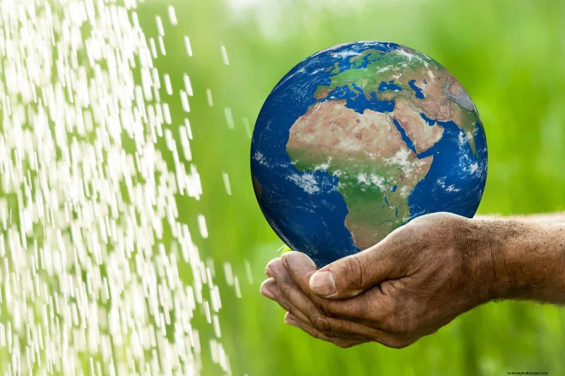 Water-Wise Landscaping:21 ideeën voor onderhoudsarme en milieuvriendelijke tuinen 