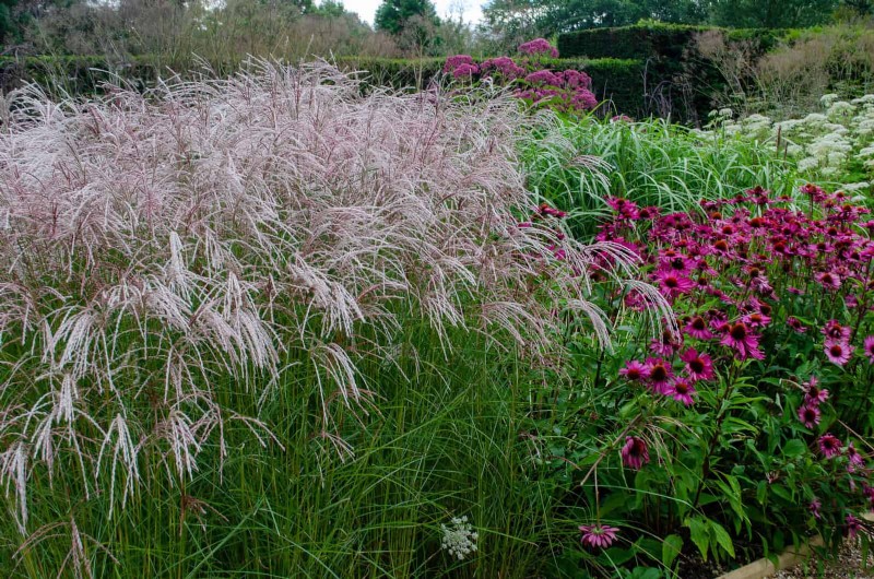 Water-Wise Landscaping:21 ideeën voor onderhoudsarme en milieuvriendelijke tuinen 