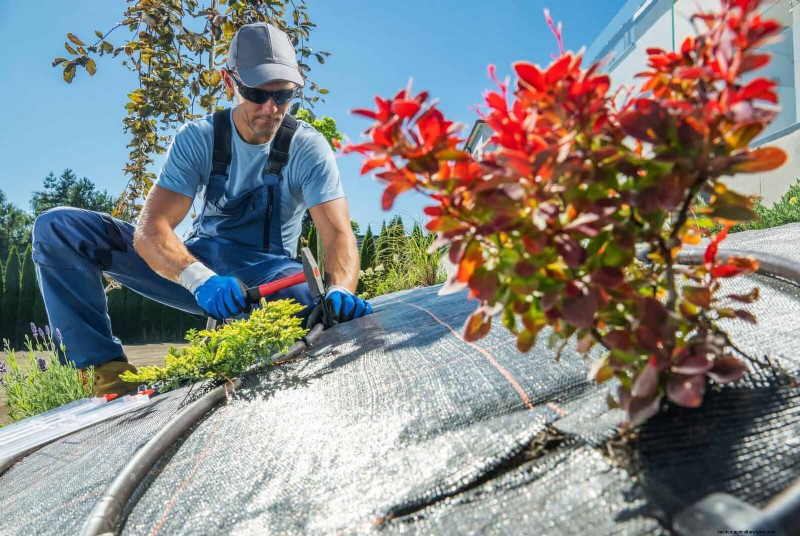 Water-Wise Landscaping:21 ideeën voor onderhoudsarme en milieuvriendelijke tuinen 