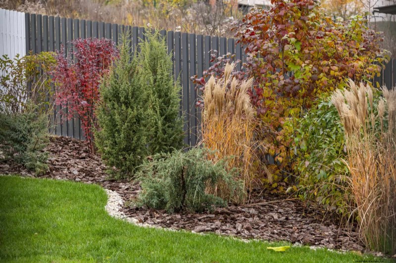 Water-Wise Landscaping:21 ideeën voor onderhoudsarme en milieuvriendelijke tuinen 