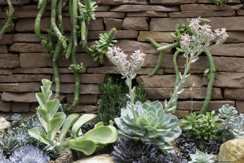 Water-Wise Landscaping:21 ideeën voor onderhoudsarme en milieuvriendelijke tuinen 
