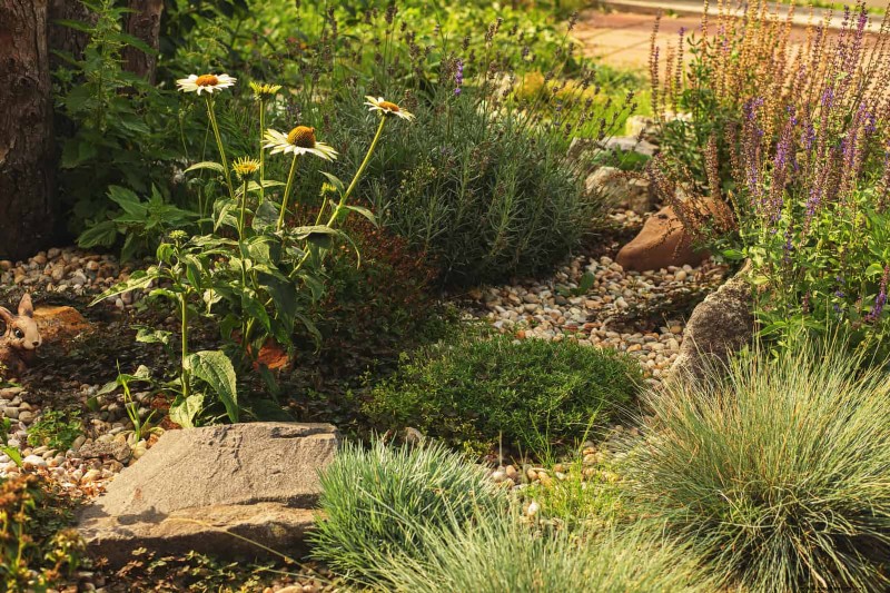 Water-Wise Landscaping:21 ideeën voor onderhoudsarme en milieuvriendelijke tuinen 