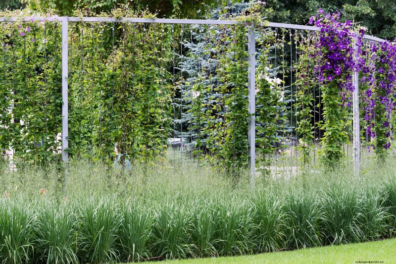 Water-Wise Landscaping:21 ideeën voor onderhoudsarme en milieuvriendelijke tuinen 
