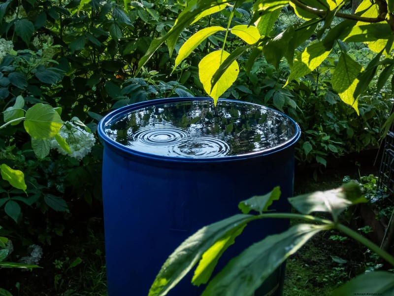Water-Wise Landscaping:21 ideeën voor onderhoudsarme en milieuvriendelijke tuinen 