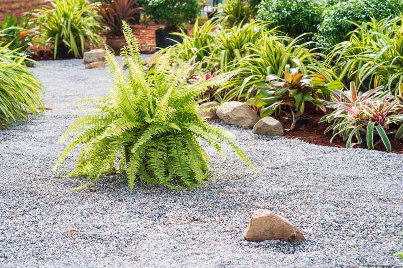 Water-Wise Landscaping:21 ideeën voor onderhoudsarme en milieuvriendelijke tuinen 