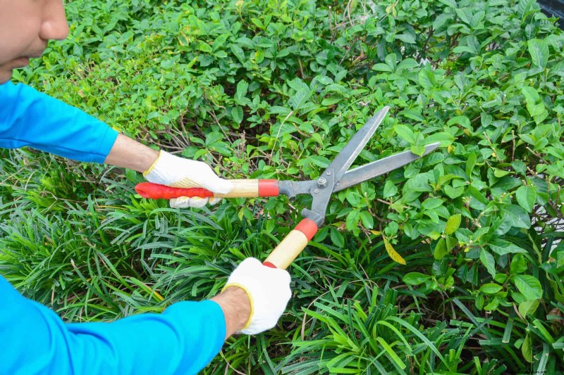 Water-Wise Landscaping:21 ideeën voor onderhoudsarme en milieuvriendelijke tuinen 