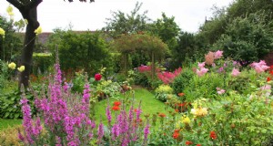 Ideas para jardines de pradera respetuosos con la vida silvestre:25 diseños para un oasis de bajo mantenimiento 