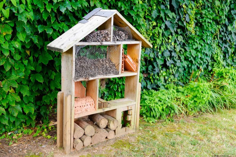 Natuurvriendelijke weidetuinideeën:25 ontwerpen voor een onderhoudsarme oase 