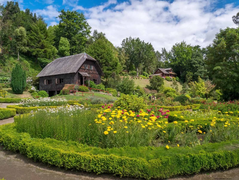 Natuurvriendelijke weidetuinideeën:25 ontwerpen voor een onderhoudsarme oase 