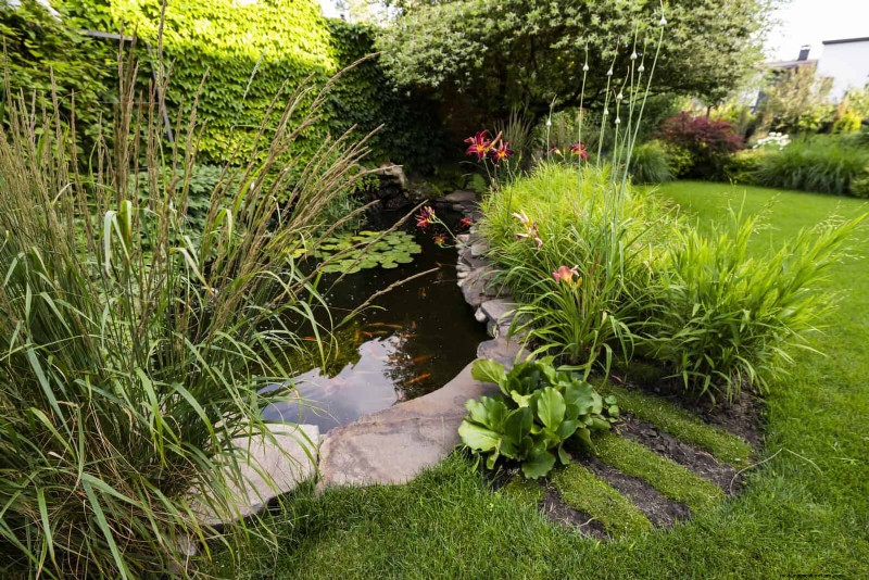 Natuurvriendelijke weidetuinideeën:25 ontwerpen voor een onderhoudsarme oase 