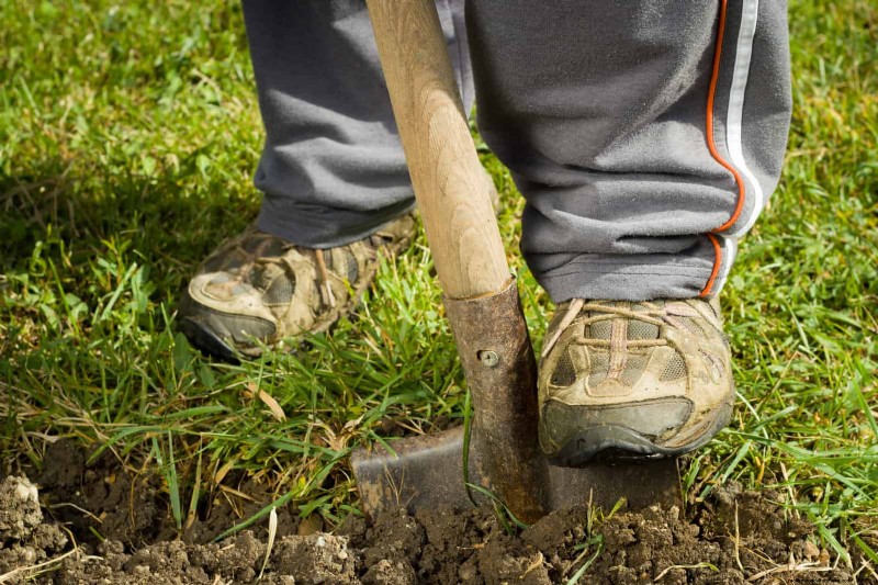 30 eenvoudige en betaalbare landschapsideeën om de aantrekkingskracht te vergroten 