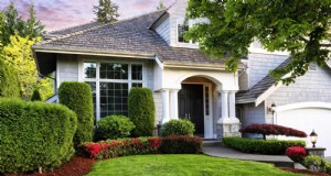 Boost Curb Appeal:een eenvoudige plantengids voor de voortuin 