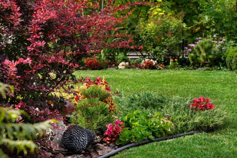Boost Curb Appeal:een eenvoudige plantengids voor de voortuin 