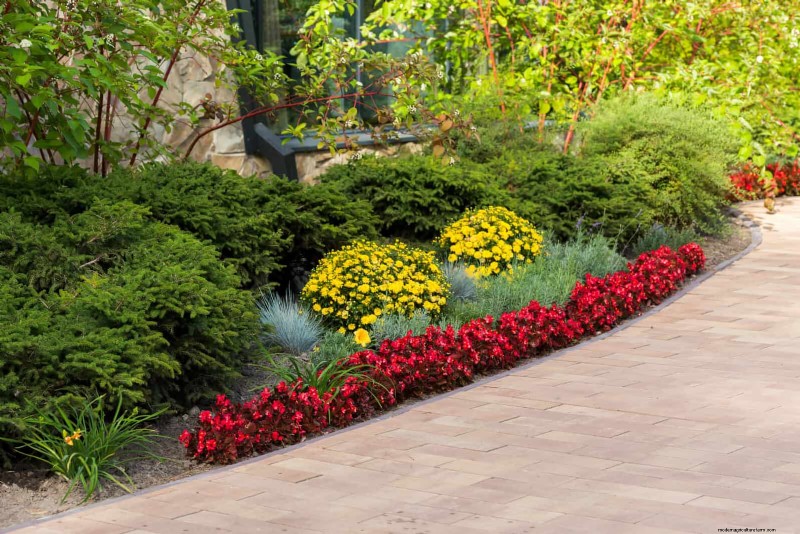 Boost Curb Appeal:een eenvoudige plantengids voor de voortuin 