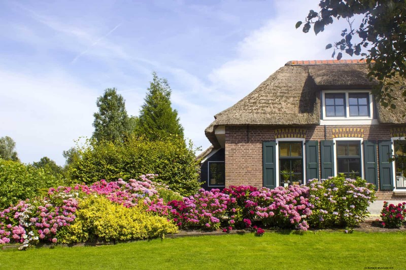 Boost Curb Appeal:een eenvoudige plantengids voor de voortuin 