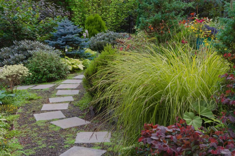 Boost Curb Appeal:een eenvoudige plantengids voor de voortuin 