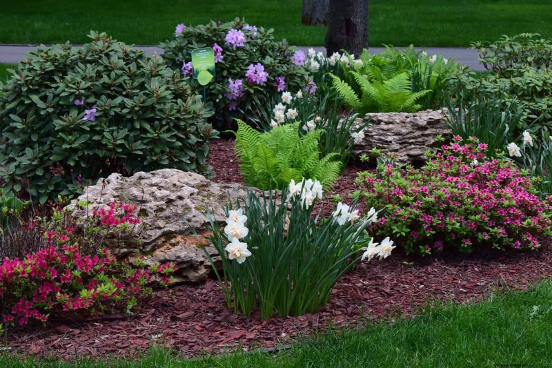 Boost Curb Appeal:een eenvoudige plantengids voor de voortuin 