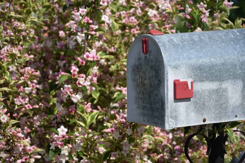 Boost Curb Appeal:een eenvoudige plantengids voor de voortuin 