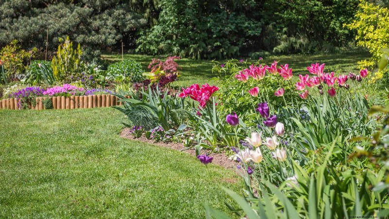 Boost Curb Appeal:een eenvoudige plantengids voor de voortuin 