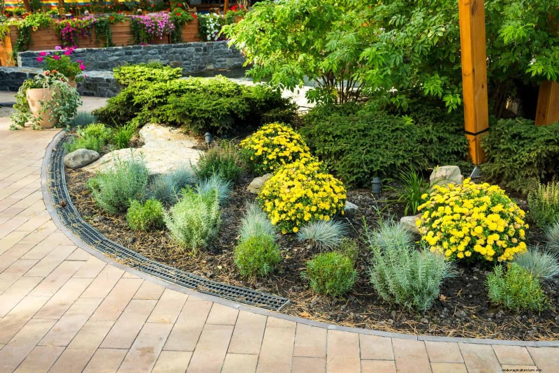 Boost Curb Appeal:een eenvoudige plantengids voor de voortuin 