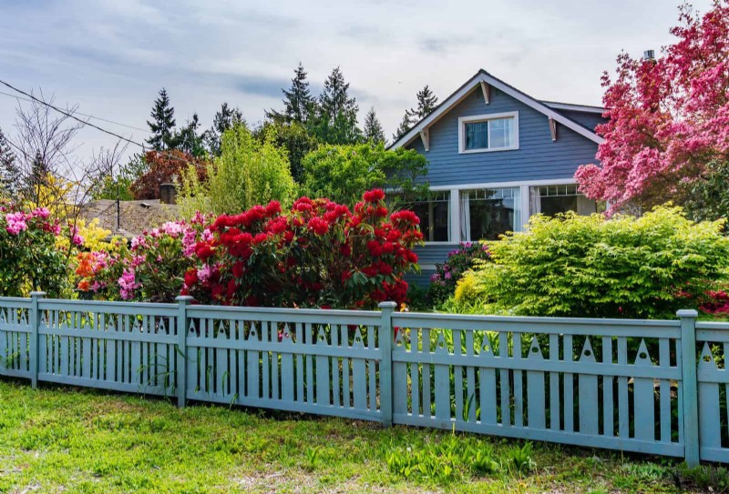 Boost Curb Appeal:een eenvoudige plantengids voor de voortuin 