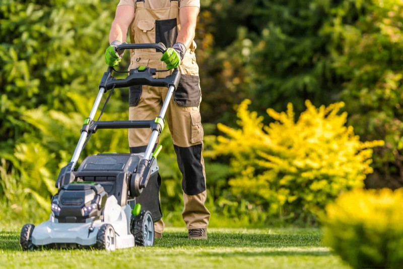 Boost Curb Appeal:een eenvoudige plantengids voor de voortuin 