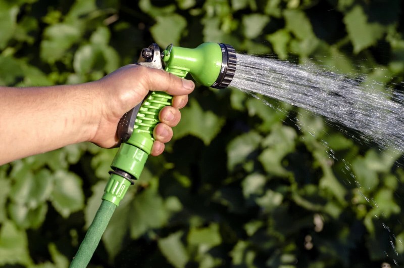 Boost Curb Appeal:een eenvoudige plantengids voor de voortuin 