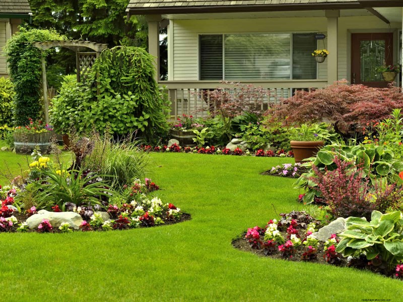 Boost Curb Appeal:een eenvoudige plantengids voor de voortuin 