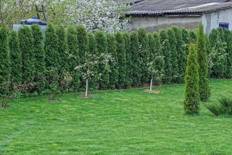 Privatsphäre im Hinterhof:30 Ideen für einen ruhigen Außenbereich 