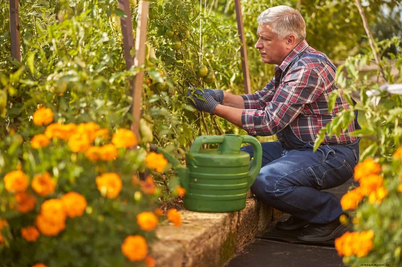 Fehler beim Begleitpflanzen:Fehlerbehebung und Lösungen für einen blühenden Garten 