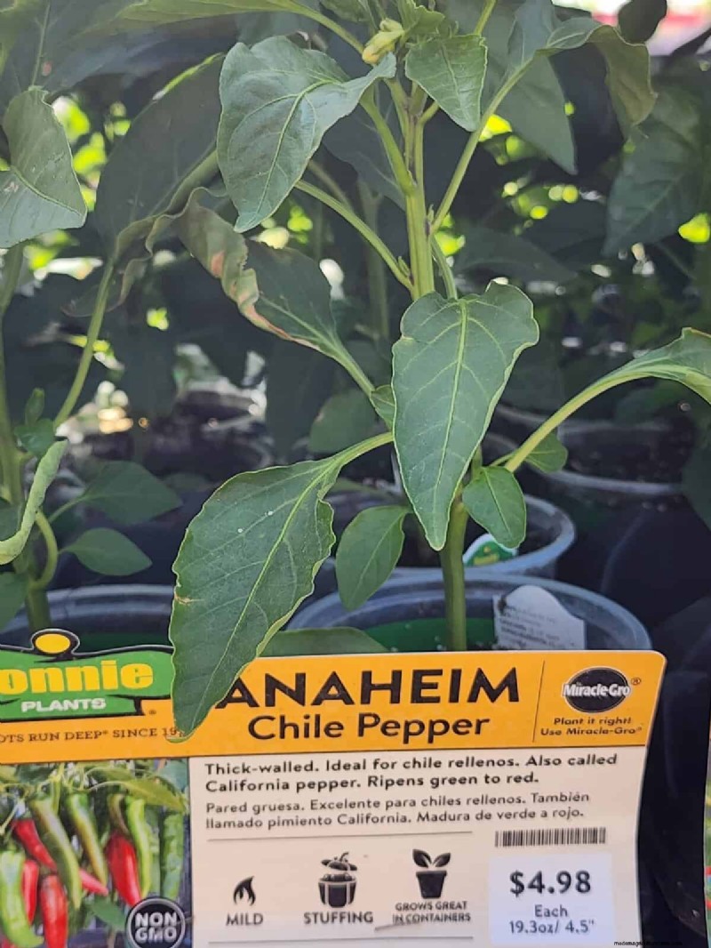 29 einzigartige Pfeffersorten im Home Depot gefunden | Gartenführer 