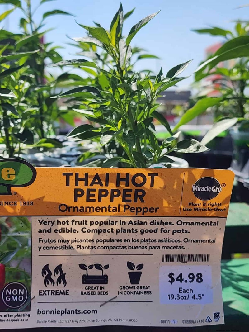 29 einzigartige Pfeffersorten im Home Depot gefunden | Gartenführer 