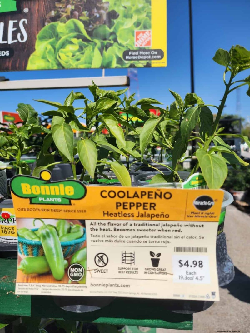 29 einzigartige Pfeffersorten im Home Depot gefunden | Gartenführer 