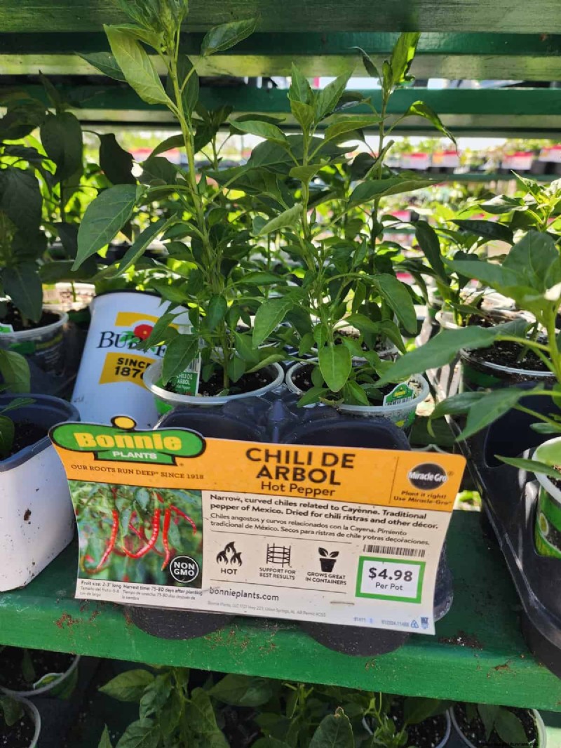 29 einzigartige Pfeffersorten im Home Depot gefunden | Gartenführer 