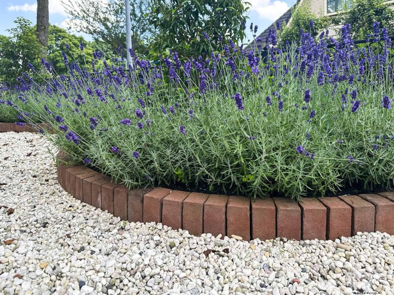 Beste Randideen für Gehwege und Gartenränder | Depositphotos 