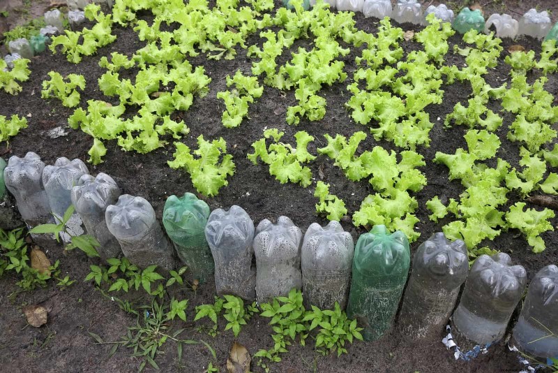 Beste Randideen für Gehwege und Gartenränder | Depositphotos 