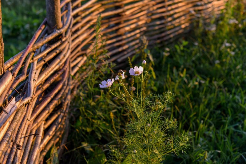 Beste Randideen für Gehwege und Gartenränder | Depositphotos 