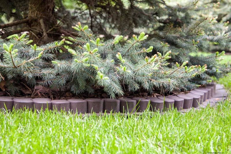 Beste Randideen für Gehwege und Gartenränder | Depositphotos 