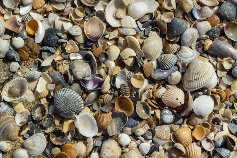 Beste Randideen für Gehwege und Gartenränder | Depositphotos 