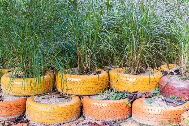 Beste Randideen für Gehwege und Gartenränder | Depositphotos 