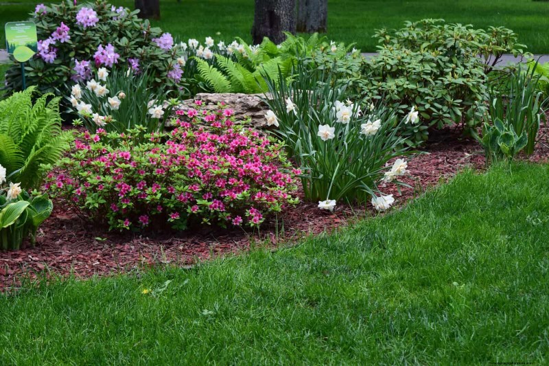 Beste Randideen für Gehwege und Gartenränder | Depositphotos 