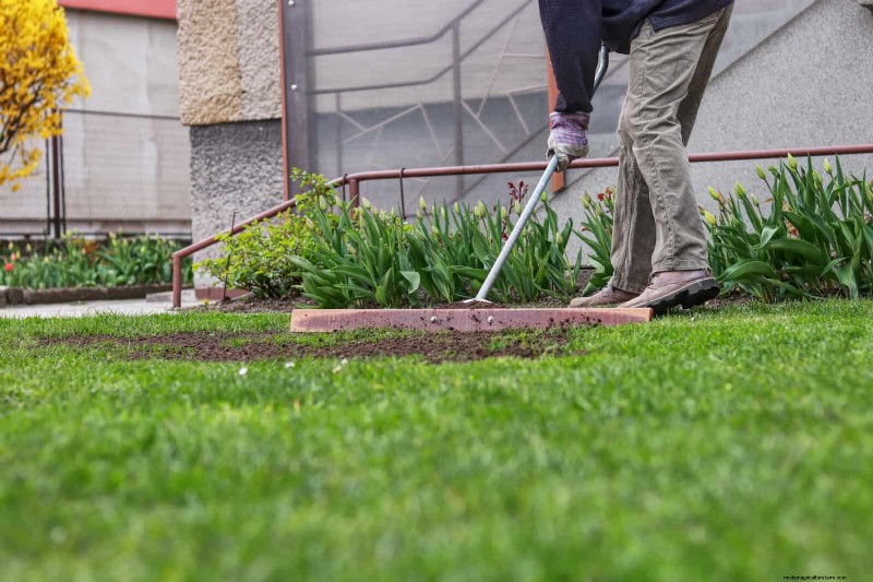 Beste Randideen für Gehwege und Gartenränder | Depositphotos 