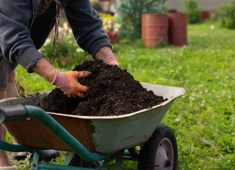Breng uw tuin nieuw leven in:22 bodemverbeteringstechnieken voor een bloeiende achtertuin 