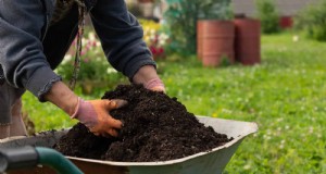 Breng uw tuin nieuw leven in:22 bodemverbeteringstechnieken voor een bloeiende achtertuin 