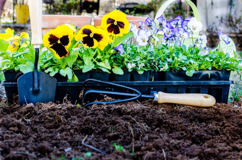 Breng uw tuin nieuw leven in:22 bodemverbeteringstechnieken voor een bloeiende achtertuin 