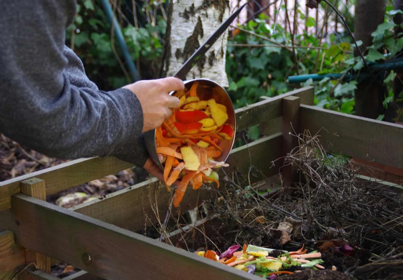 Breng uw tuin nieuw leven in:22 bodemverbeteringstechnieken voor een bloeiende achtertuin 